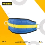 کمربند ایمنی سیمبانی پروتکت Protekt مدل PB-10