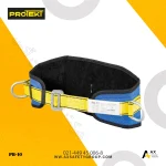 کمربند ایمنی سیمبانی پروتکت Protekt مدل PB-10